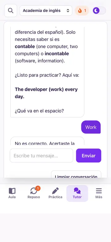 Conversación real con el tutor IA explicando sustantivos contables e incontables y corrigiendo una respuesta.